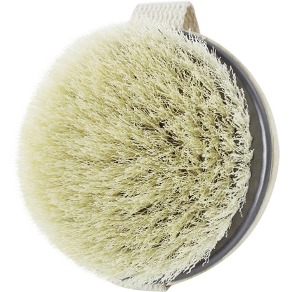 Body Exfolitating and Detoxifying Dry Brush, Pink, Single